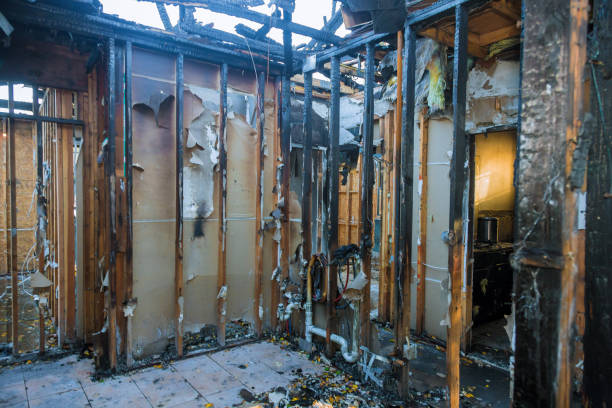 Professional Odor Removal technician working in Fort Hall, ID